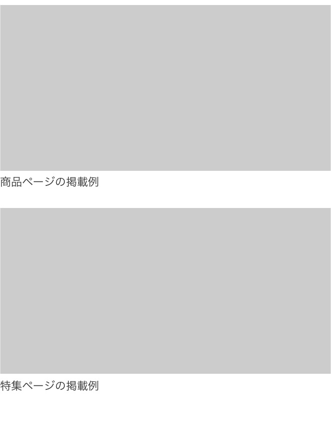 掲載例